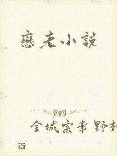 恋老小说