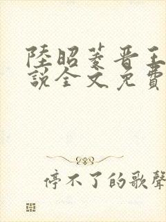 陆昭菱晋王的小说全文免费阅读