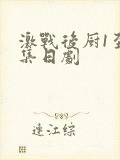 激战后厨1至5集日剧