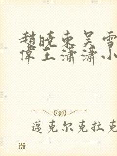 赵晓东吴雪晴郑伟王潇潇小说