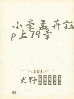 小豪孟卉钰慧三p上79章封面