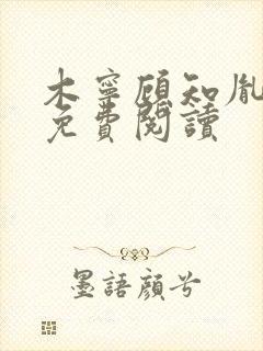 木宁顾知胤小说免费阅读