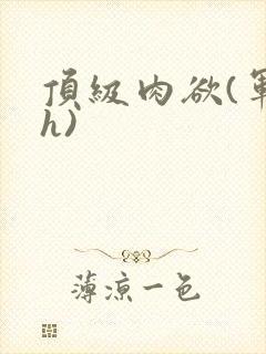 顶级肉欲(军高h)