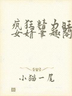 疯狂精力旺盛的女婿笔趣阁小说封面