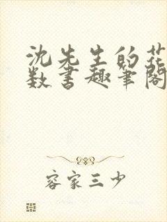 沈先生的花式调数书趣笔阁封面