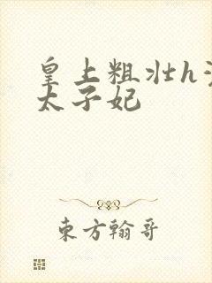 皇上粗壮h灌满太子妃