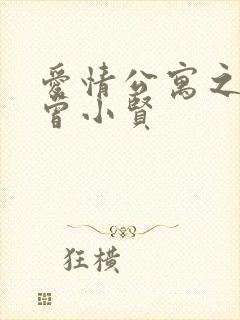 爱情公寓之极品曾小贤封面