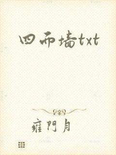 四面墙txt封面