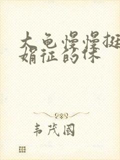 大龟慢慢挺进张娟征的休封面