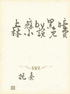 上瘾by黑暗森林小说免费