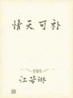 情天可补