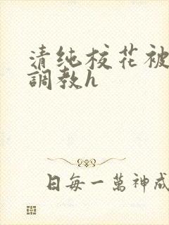 清纯校花被地狱调教h封面