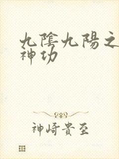 九阴九阳之阴阳神功封面