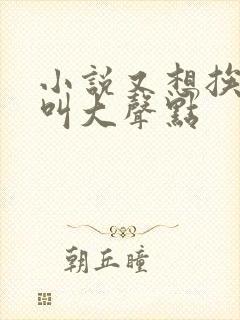 小说又想挨C了叫大声点