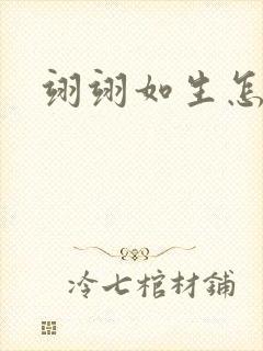 翊翊如生怎么读封面