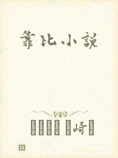 靠比小说封面