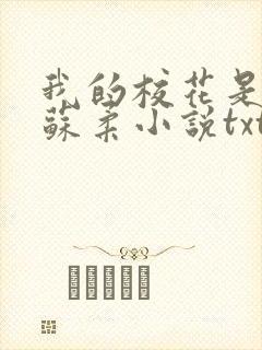 我的校花是福姬苏柔小说txt