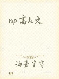 np高h文