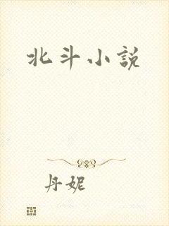 北斗小说