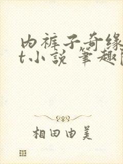 内裤子奇缘txt小说 笔趣阁封面