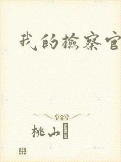 我的检察官先生