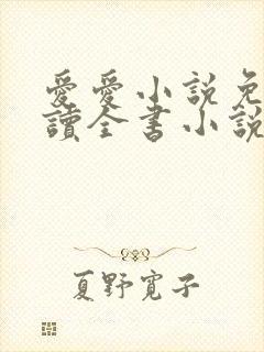 爱爱小说免费阅读全书小说乡村封面