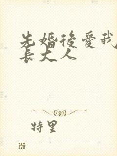 先婚后爱我的市长大人封面