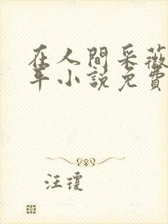 在人间采薇陆三平小说免费阅读