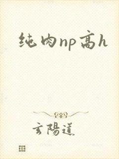 纯肉np高h