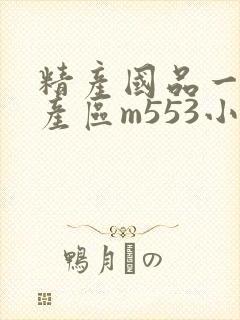 精产国品一二三产区m553小说封面
