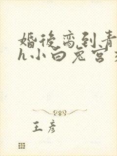 婚后脔到青梅哭h小白兔宫交h