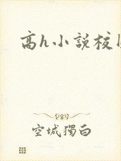 高h小说校园封面