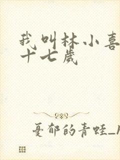 我叫林小喜今年十七岁