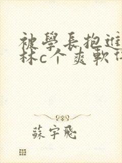 被学长抱进小树林c个爽软件