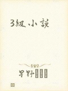 3级小说