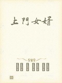 上门女婿封面
