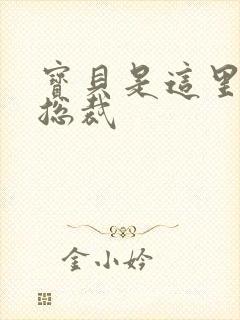 宝贝是这里对吗总裁