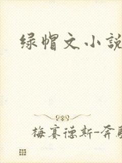 绿帽文小说封面