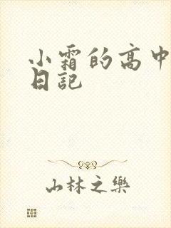 小霜的高中成长日记