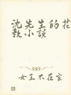 沈先生的花式管教小说