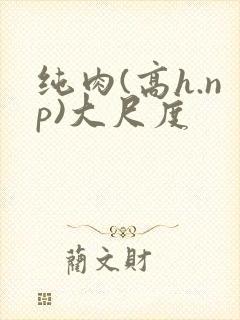纯肉(高h.np)大尺度