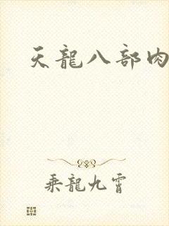 天龙八部肉集封面