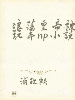 浪荡皇帝被多人玩弄np小说