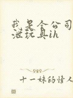 我是全公司的发泄玩具ih