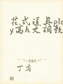 花式道具play高h文调教封面