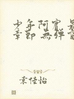 少年阿宾 最新章节 无弹窗 笔趣阁