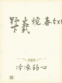 野火烧春txt下载