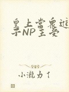 皇上当众进入太子NP主受