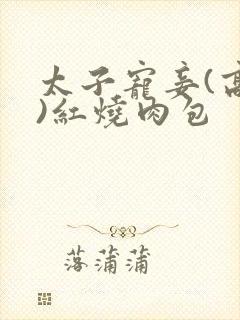 太子宠妾(高肉)红烧肉包封面