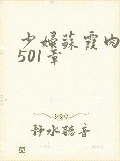 少妇苏霞肉欲第501章